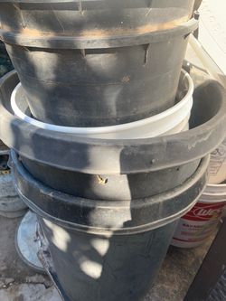 Plant Buckets Garden
