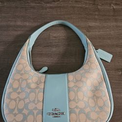 Authentic Coach Purse And Wallet