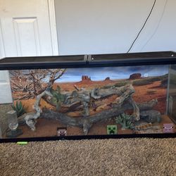 Leopard gecko aquarium enclosures