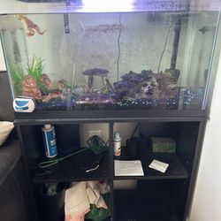 Aquarium W/ Stand & Filter