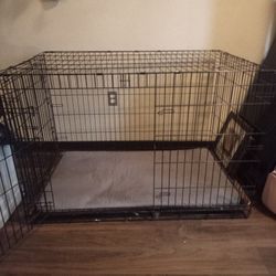 Dog Kennel 