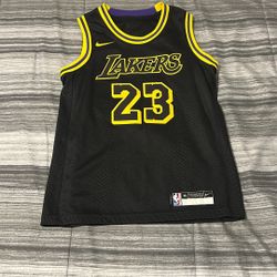 Lebron James Mamba, LA Lakers