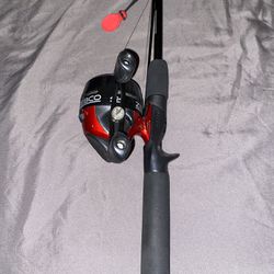 Zebco 202 Spincast Reel and Fishing Rod