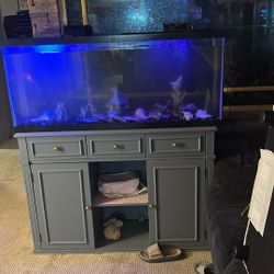 Fish tank in sand 75 gallon tank