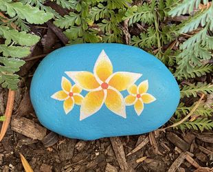 Gorgeous Hand Painted 3 Plumerias Rock