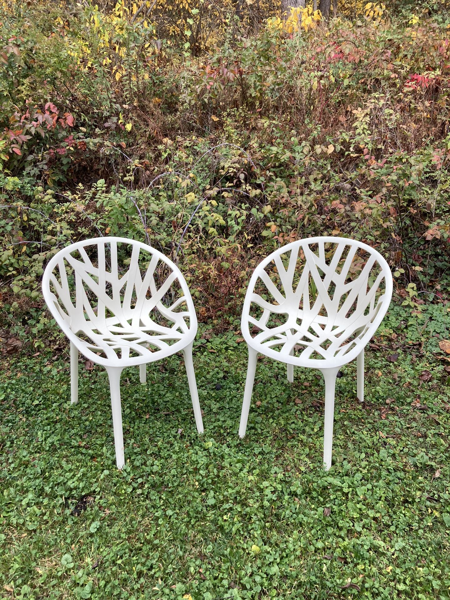 Vegetal Chairs