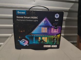 Govee Permanent Lights