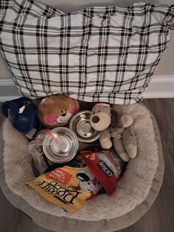Doggie Bed And Accessories