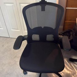 Ergonomic Chair - Mint Condition 