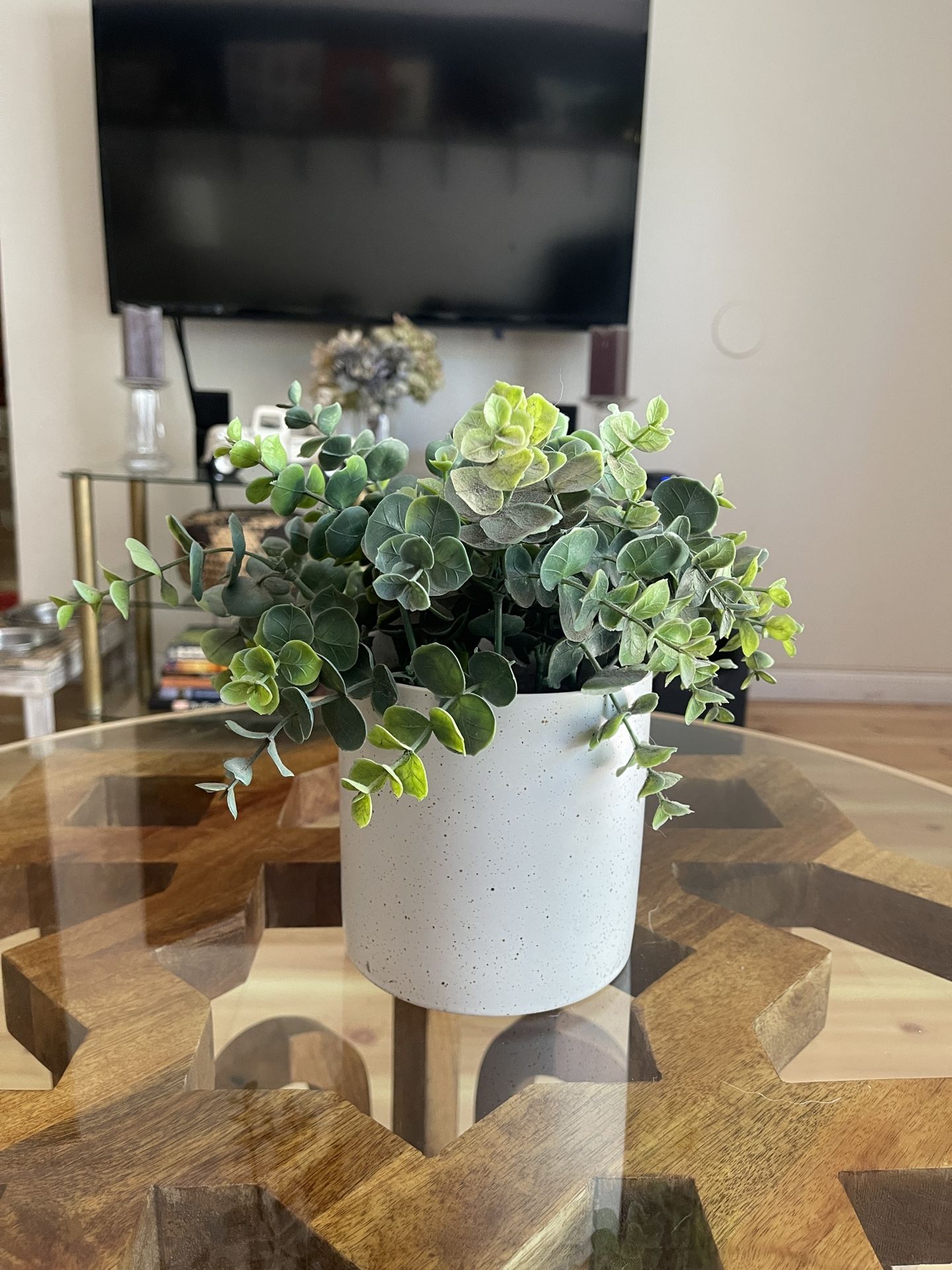 Fake Plant