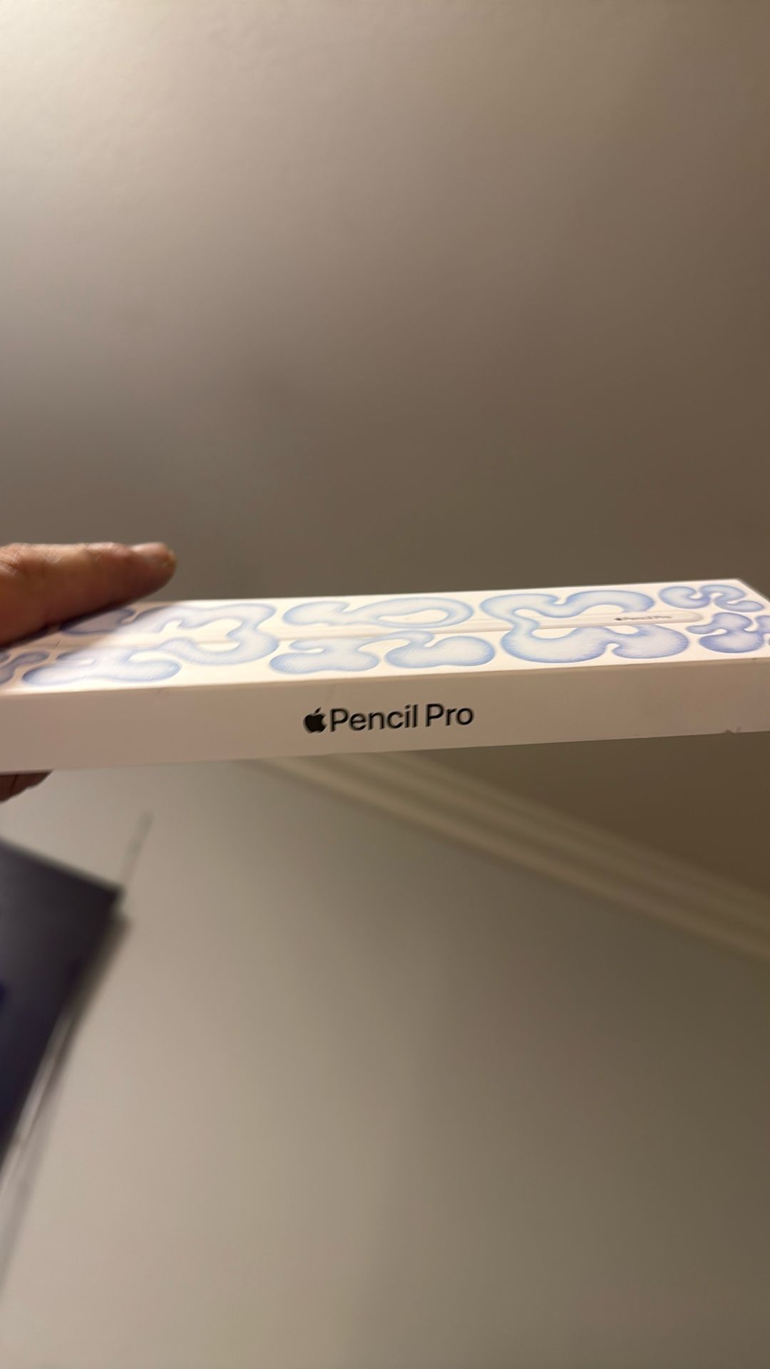 Apple Pencil Pro