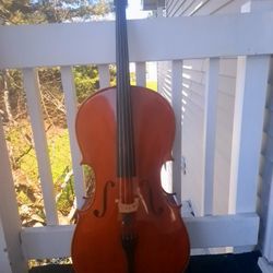 Full size intermediate cello