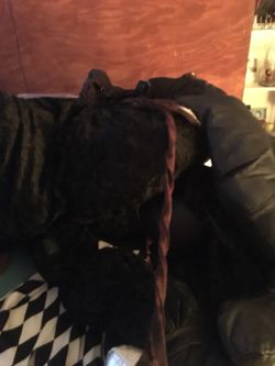 Horse costume