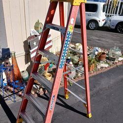 6ft. Werner Ladder