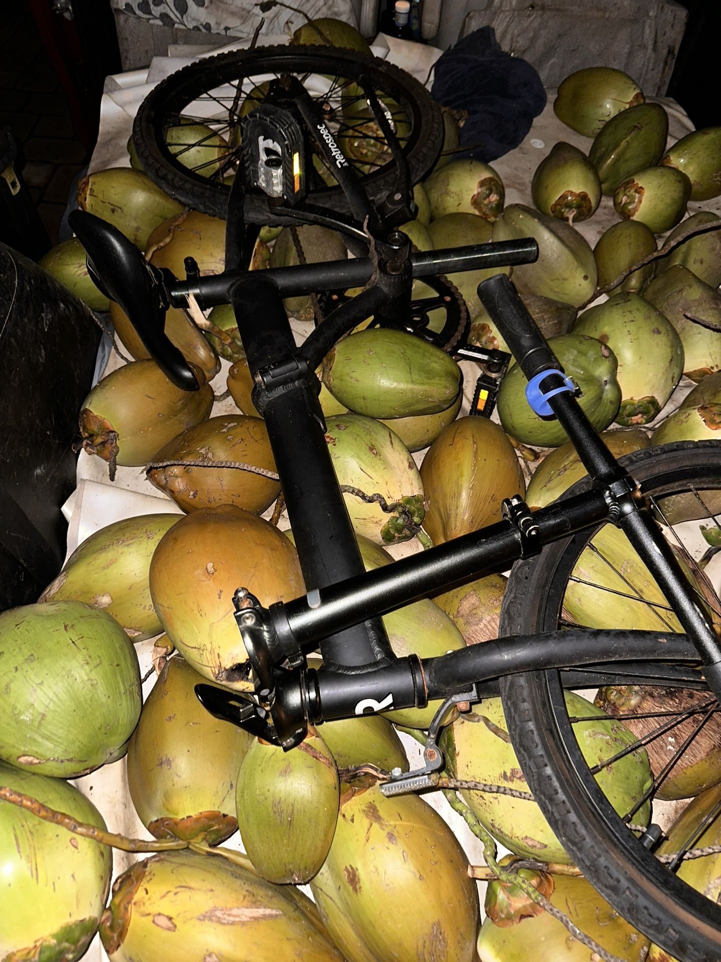 Judd Folding Bike ( Aluminum)Retrospec