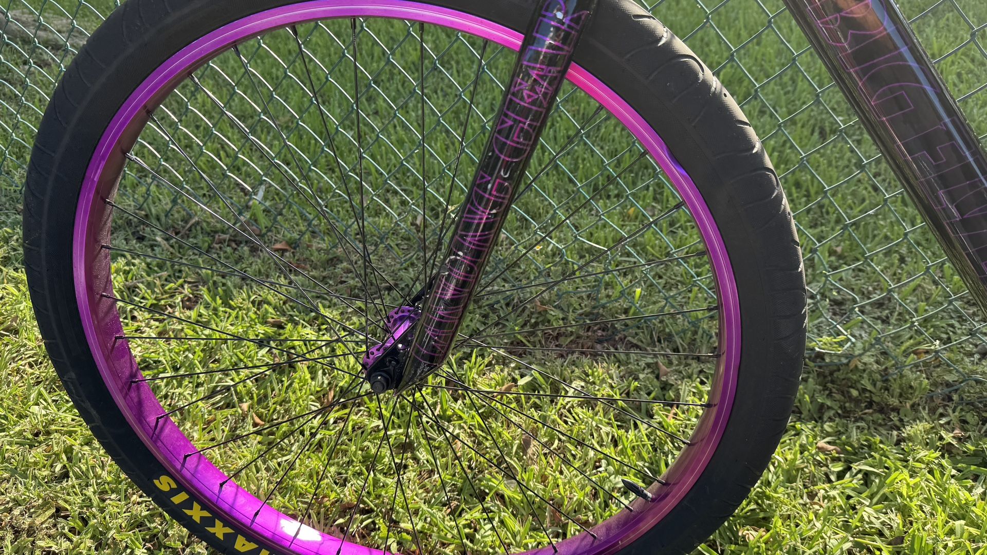 Big Flyer(send Best Offers)