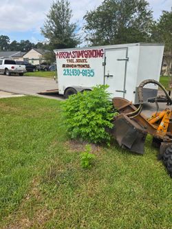 Se granean los 🪵troncos ☎️🪵stump grinder ☎️🪵free estimate☎️🪵