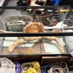 Fully Loaded Bearded Dragon Enclosure. Comes With All The Lights Too
