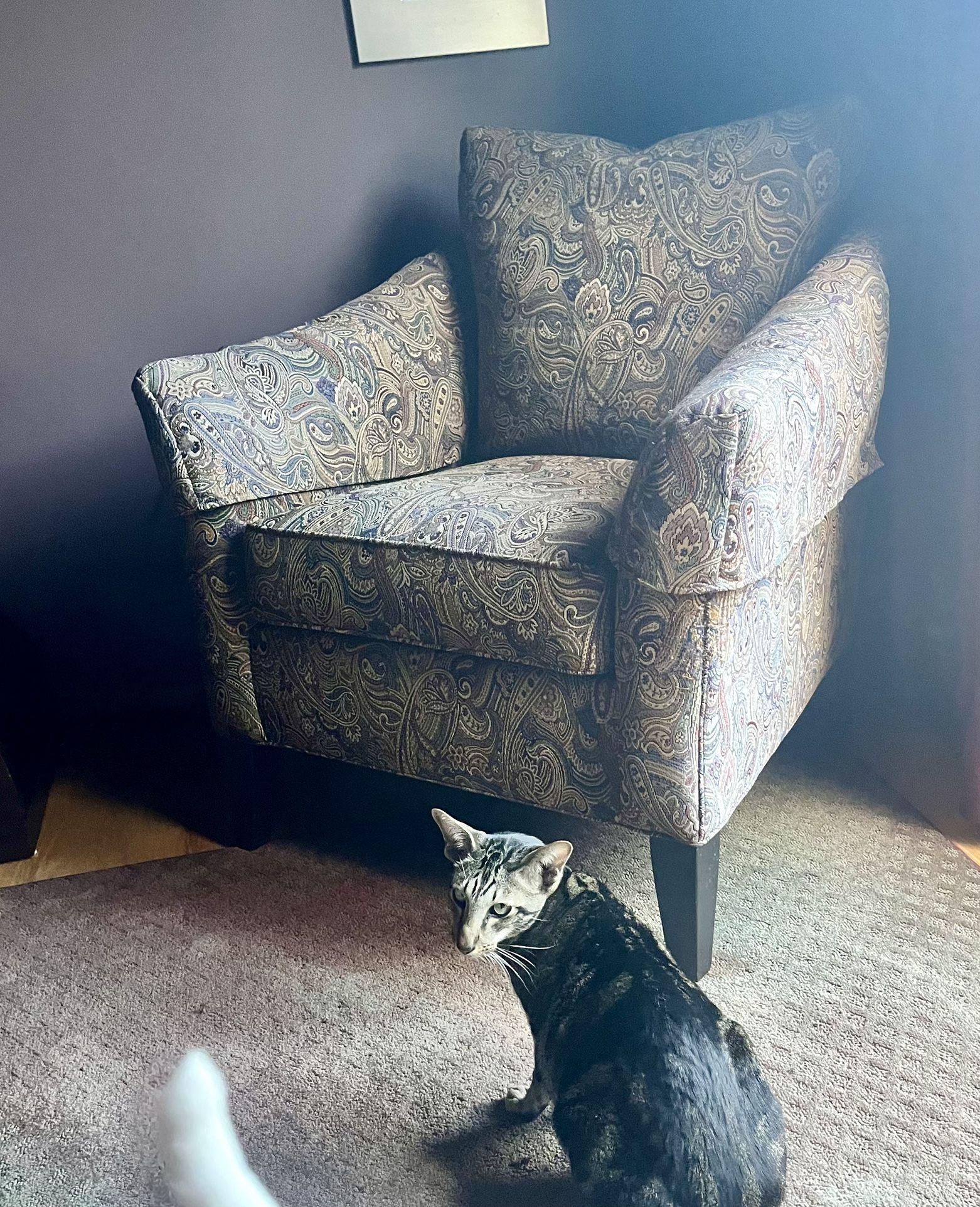 Upholstered Chair