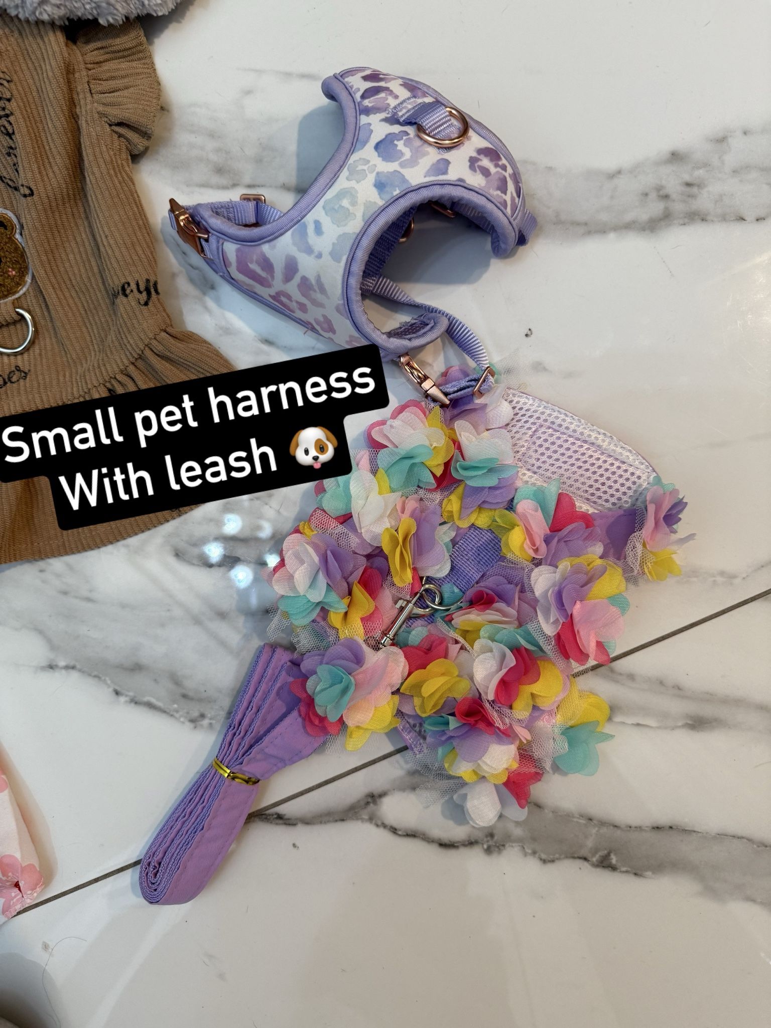 Harness With Leash