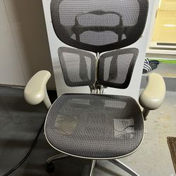 Professional Office Chair 