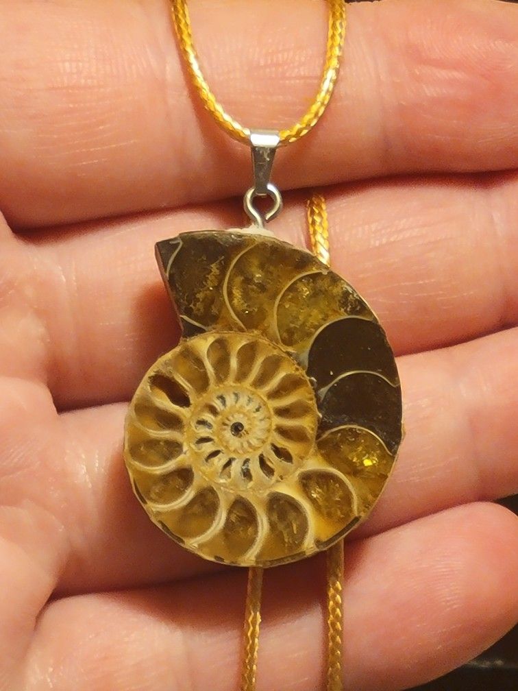 Natural Ammolite Ammonite Pendant W/ Cord Necklace