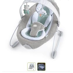 Baby Bouncer 