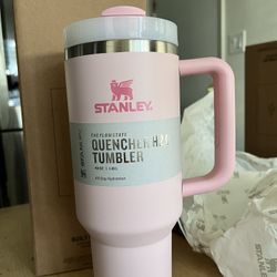 Light Pink Stanley | Mothers Day 