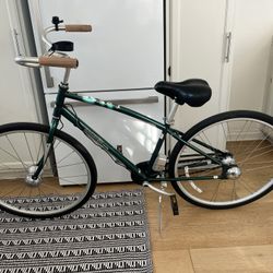 Raleigh 3 Speed Beach Cruiser 