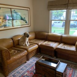 Pacific Green Sectional Sofa