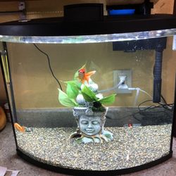 Top Fin 36 gal BOWFRONT