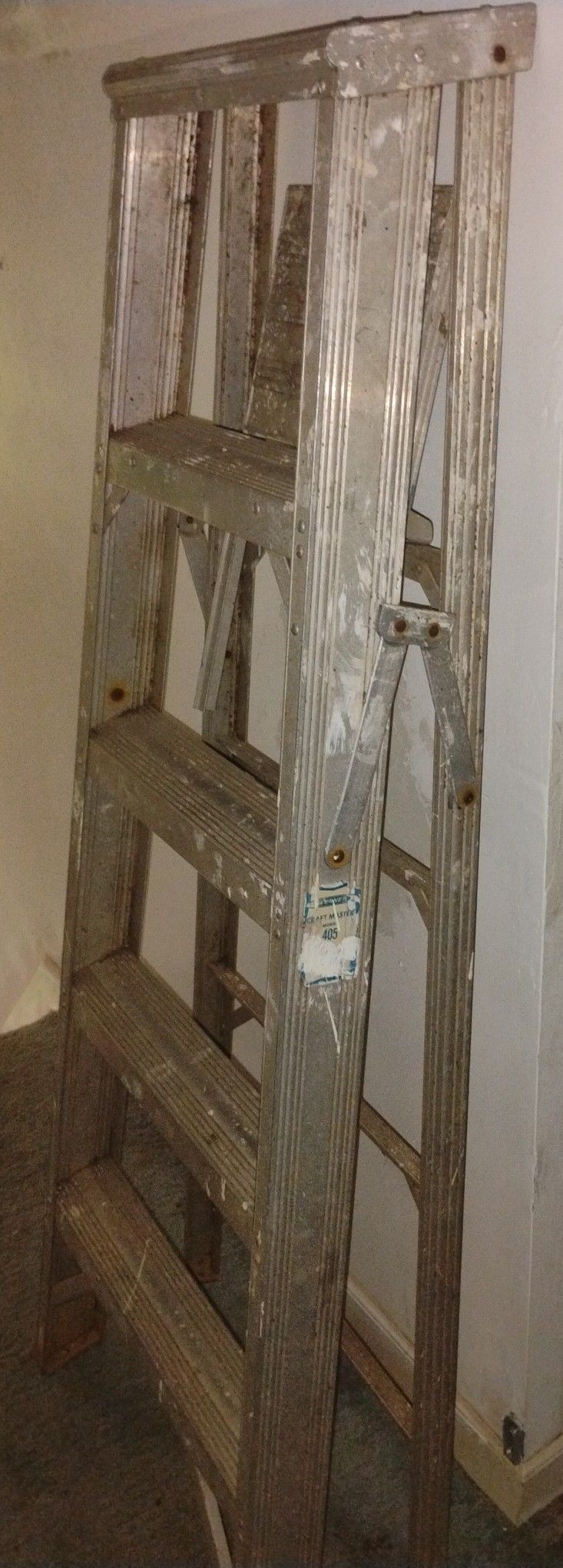 5' Werner Step Ladder
