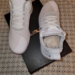 Nike LeBron Witness 3White Chrome