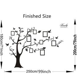 Family Tree Wall Sticker Decal Large Vinyl Photo Picture Frame Removable Bedroom