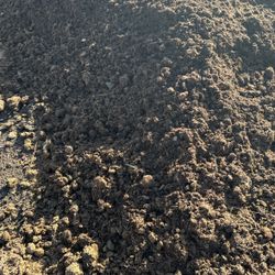 Free Horse Manure