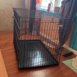 Dog Cage