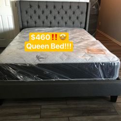 New Queen Beds! See All Pictures.