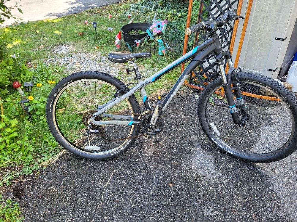 Trek Tarpon / Gary Fisher 