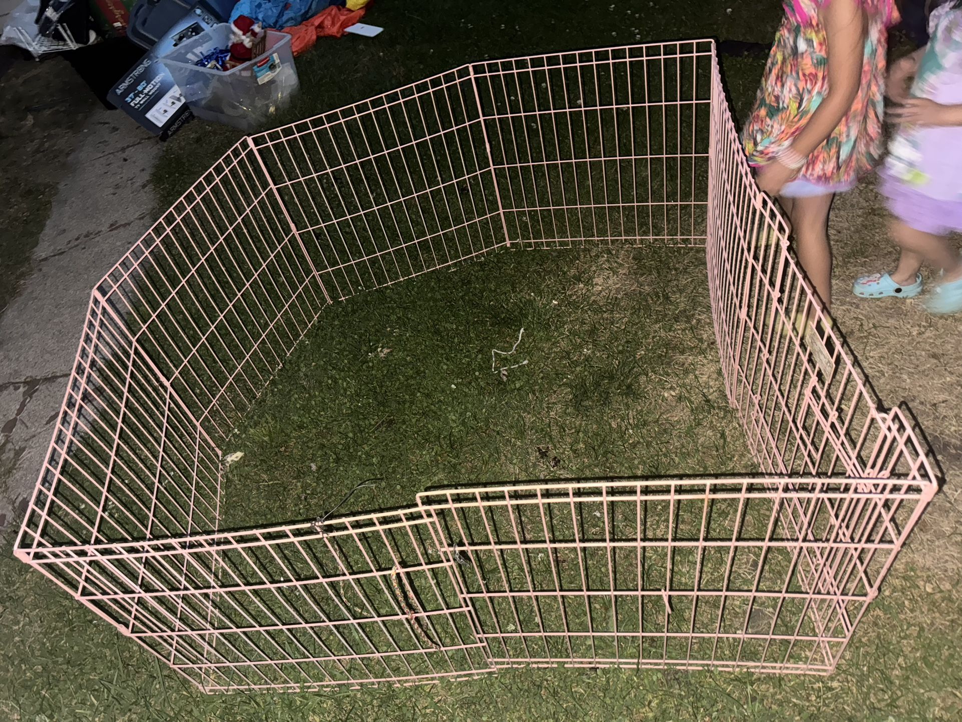 Dog Gate 