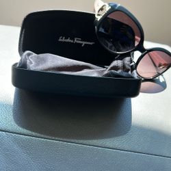 Salvatore Ferragamo Ladies Sunglasses
