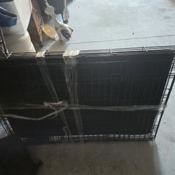 Large Dog Kennel