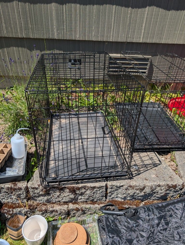 Dog Crate