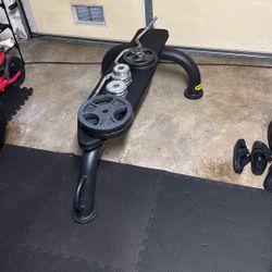 Zire Flat Bench, Curl Bar,  With Weights 