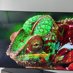 65” Samsung QLED TV with swivel mount