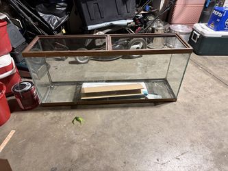 Fish tank