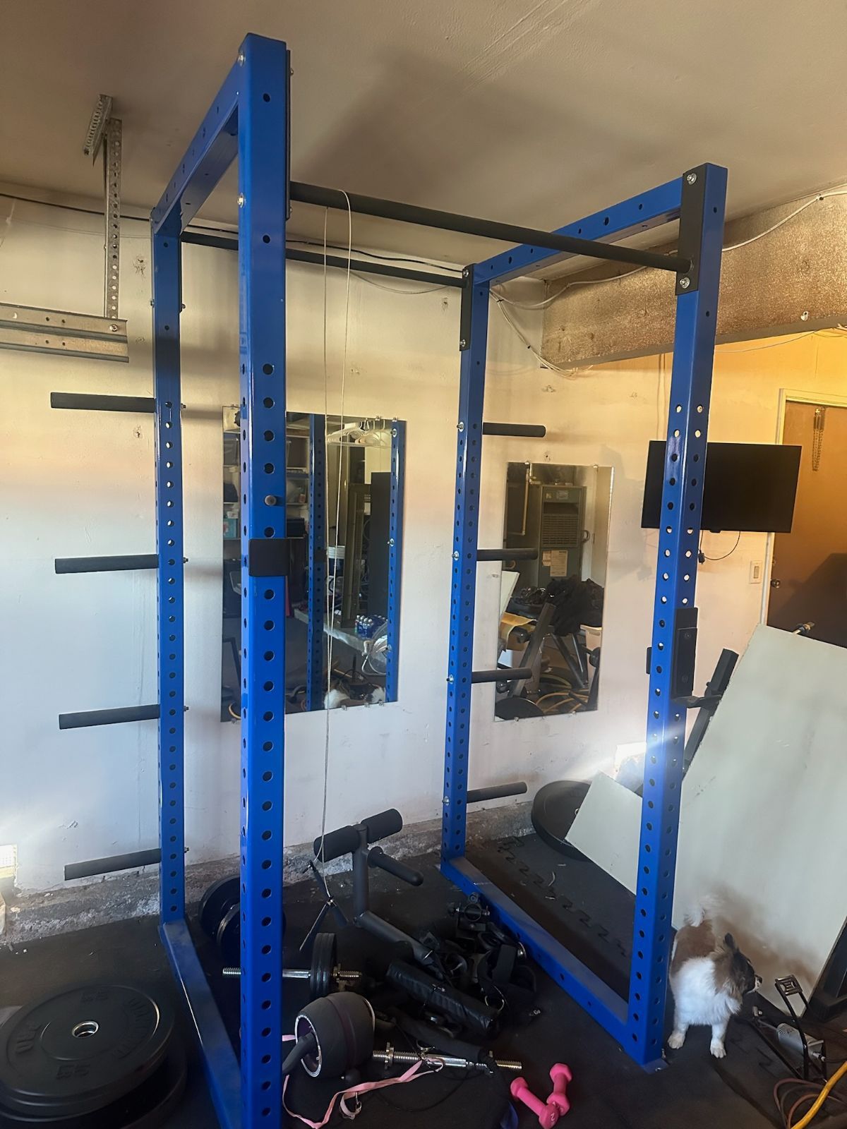 SQUAT RACK POWER RACK SPORTS FITNESS GYM EQUIPMENT