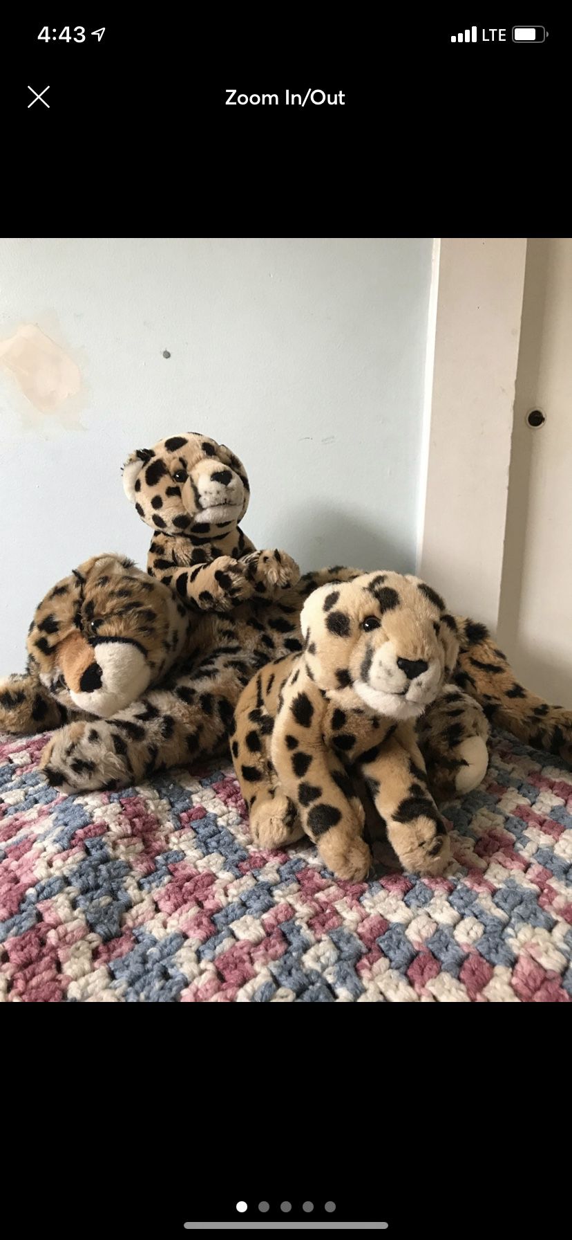 Cheetah Plushies 
