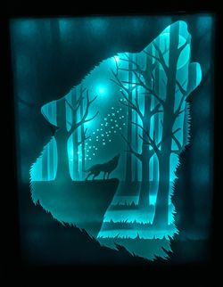 Custom 8x10 LED 3D Shadowboxes 