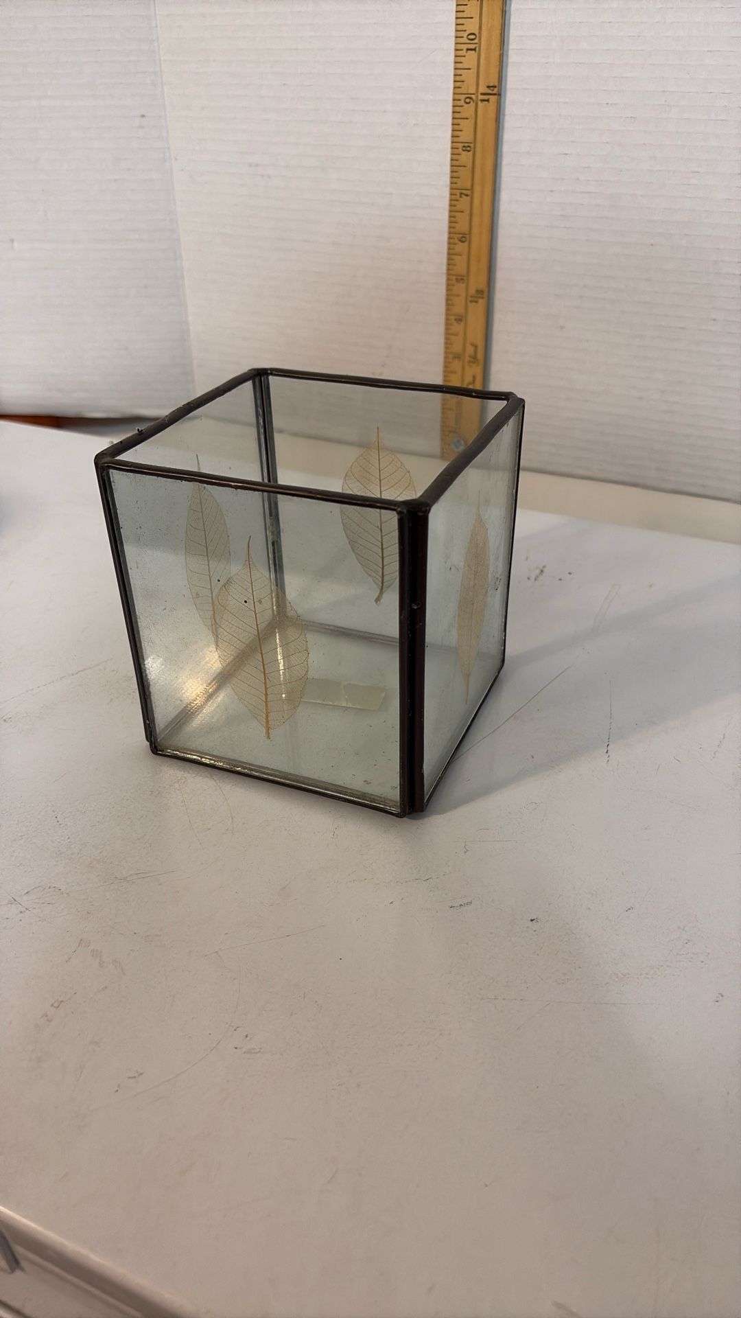 GLASS BOX