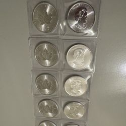10 Silver  1 OZ Canadian Maple Leaf Coins🍁 Year 2020